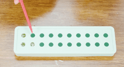 如何在上班期间，正大光明地偷喝啤酒？