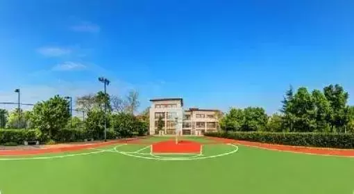 成都小升初网报最后4天！这16所最值得报考的私立名校，请收好！