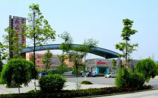 成都小升初网报最后4天！这16所最值得报考的私立名校，请收好！