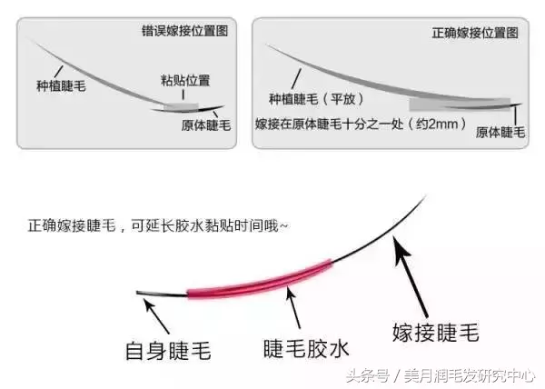 嫁接睫毛危害这些睫毛嫁接危害你该知道