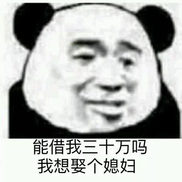 能借我三十万吗？我想娶媳妇