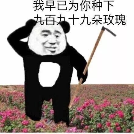 了解一下，何为强撩