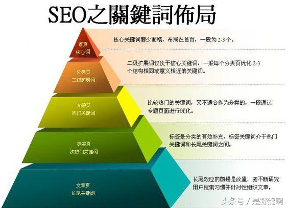 seo关键词优化举例(关键词优化和seo)