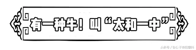 太和一中，阜阳最“学霸”高中？！