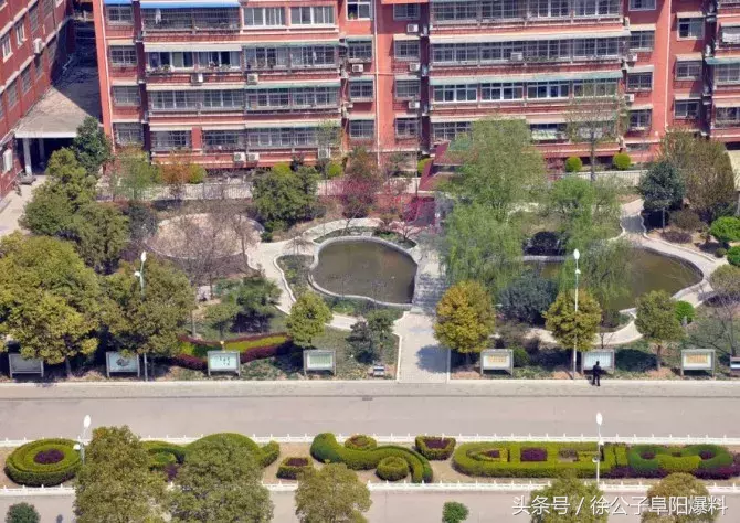 太和一中，阜阳最“学霸”高中？！