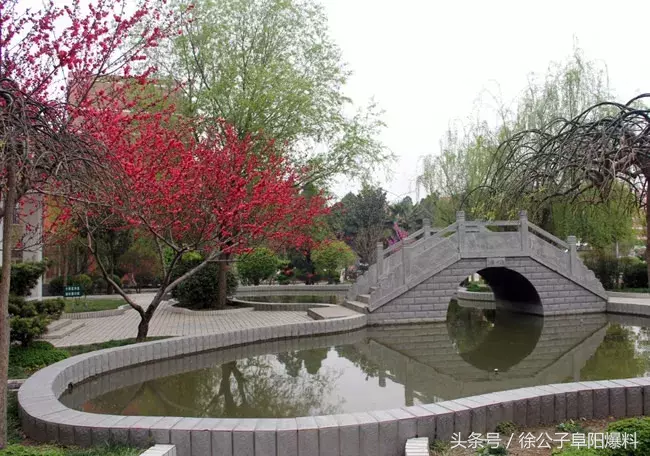 太和一中，阜阳最“学霸”高中？！