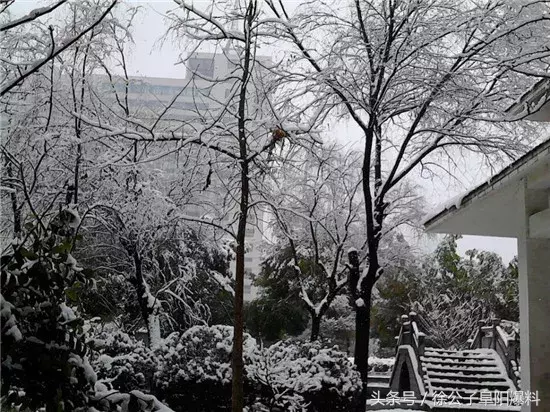 太和一中，阜阳最“学霸”高中？！