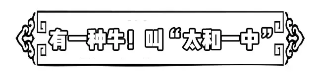 太和一中，阜阳最“学霸”高中？！