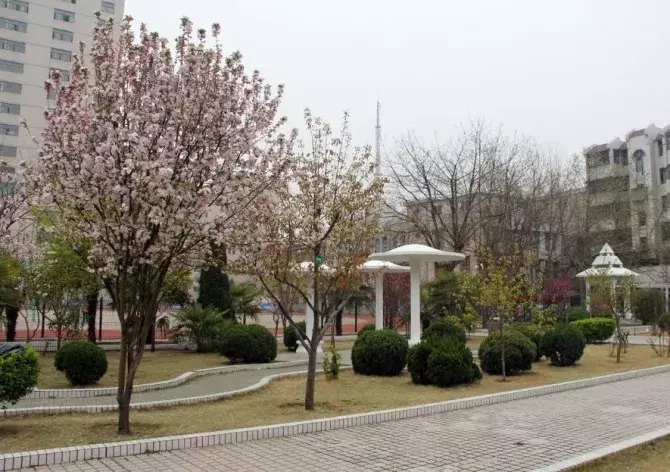 太和一中，阜阳最“学霸”高中？！