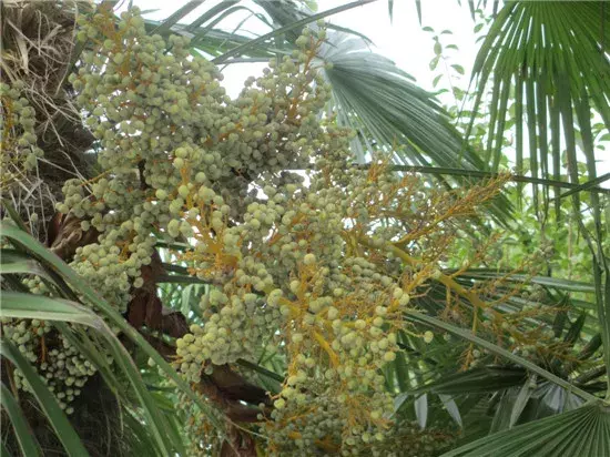 太和一中，阜阳最“学霸”高中？！