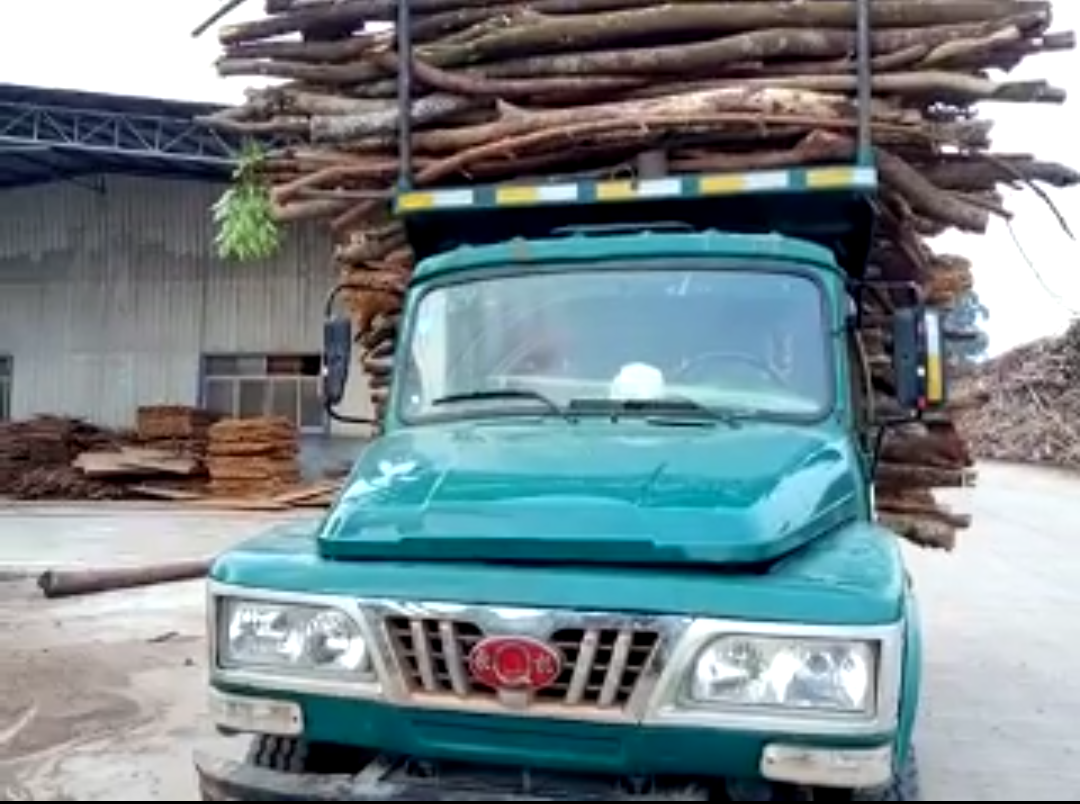 農(nóng)村一小伙買了臺二手后推車，專門幫人運(yùn)桉樹木材，收入還不錯(cuò)