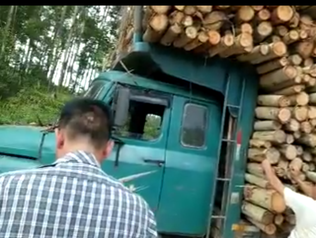 農(nóng)村一小伙買了臺二手后推車，專門幫人運(yùn)桉樹木材，收入還不錯(cuò)