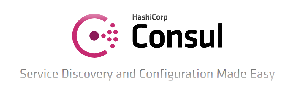 实战笔记｜Go语言构建微服务一站式解决方案