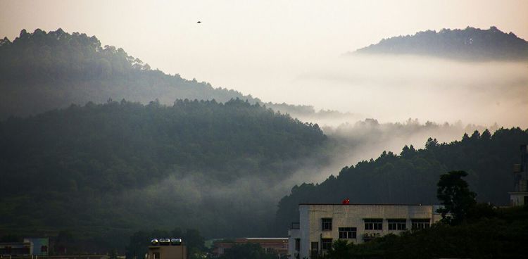 醉美西江晨景