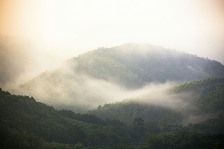 醉美西江晨景