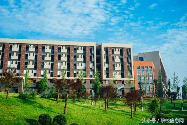 最新出炉的成都职校排名