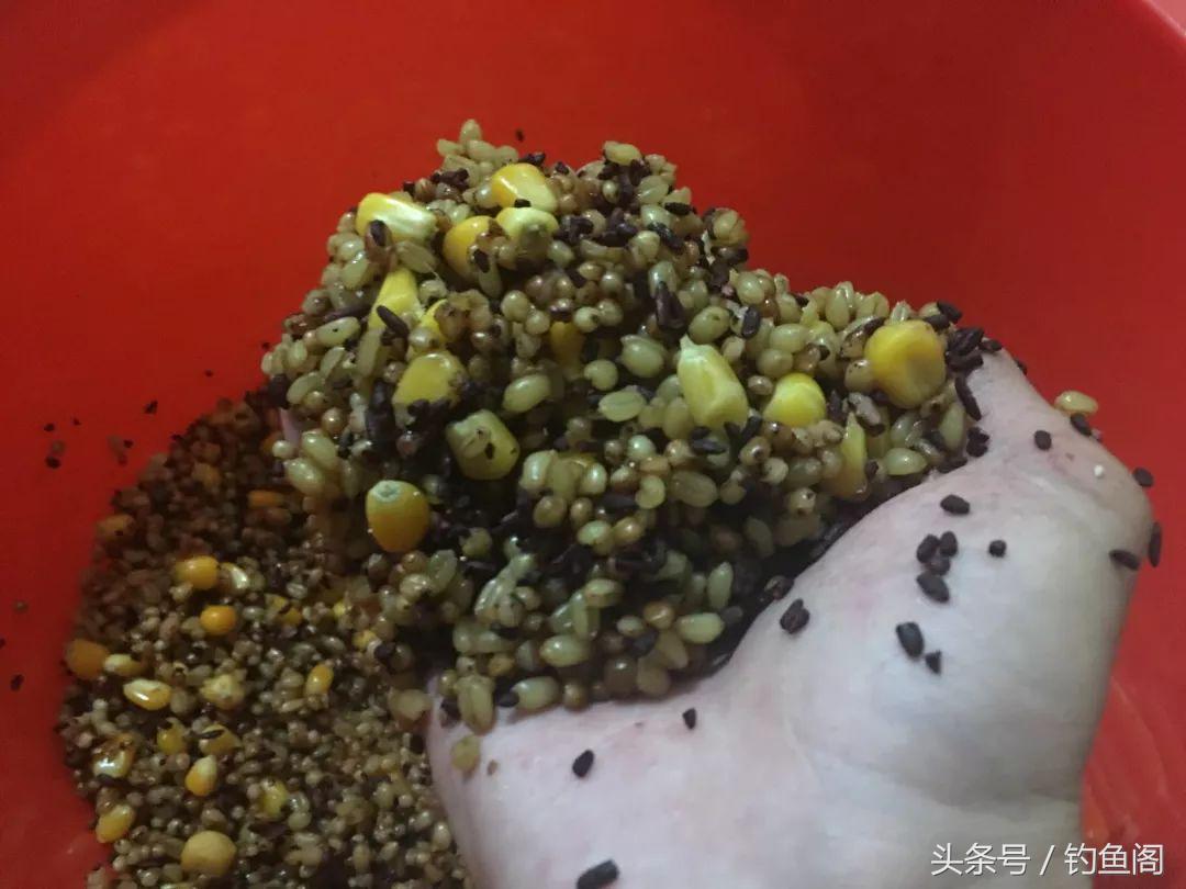 小麦和高粱完美配合(小麦和高粱完美配合图片)