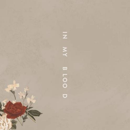 葡萄牙世界杯歌曲(萌德《In My Blood》被葡萄牙选为俄罗斯世界杯队歌)