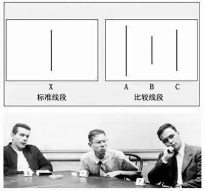 为什么一到世界杯就是伪球迷(世界杯“伪球迷”现象的心理解读)