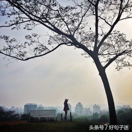 让自己静心的说说短语 静下心远离浮躁的句子图片