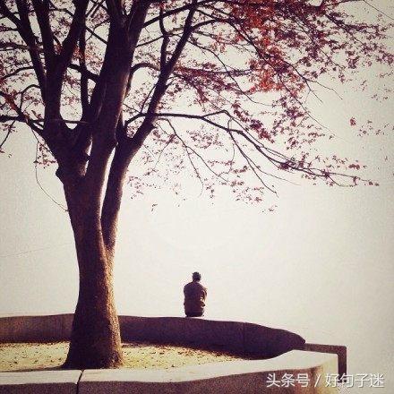 让自己静心的说说短语 静下心远离浮躁的句子图片