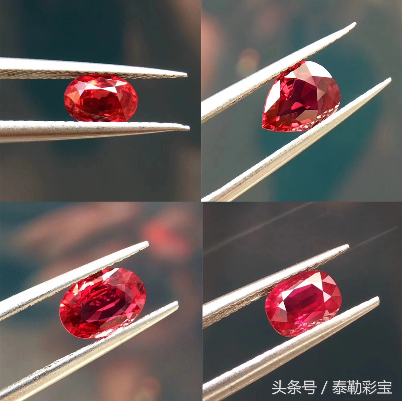 送红宝石戒指代表什么（戴红宝石戒指寓意）