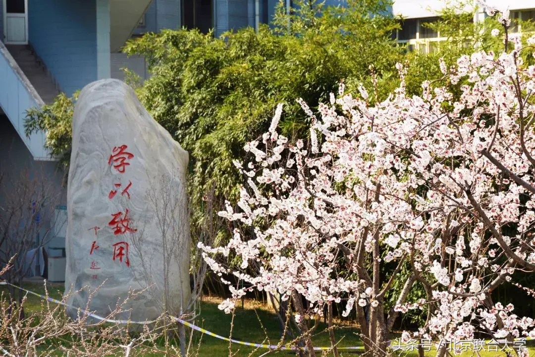 2018年北京联合大学在京招生计划