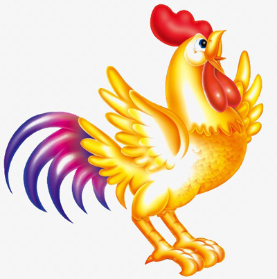 属鸡的属性婚配,快来看看适合你的属性吧