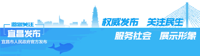 三峡大学招聘（宜昌这些地方公开招177人）