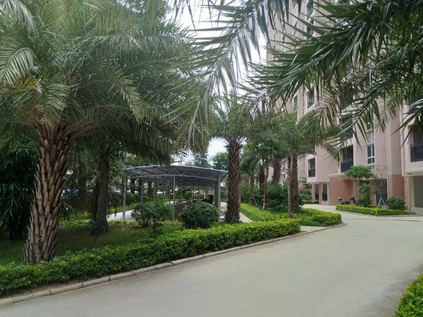 北海——桐洋新城，成熟大盘宜居生活，均价7500元/㎡