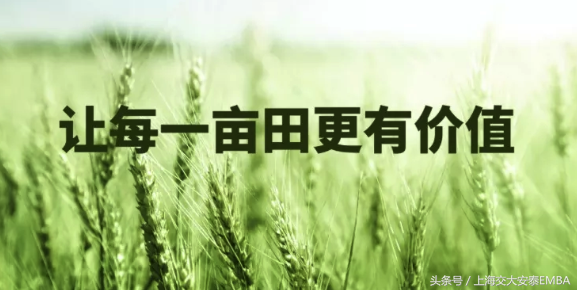 一亩田怎么加盟代理（一亩田）