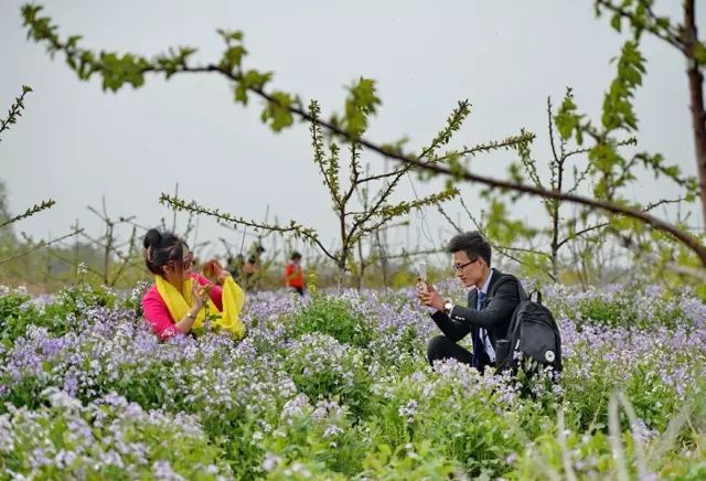 北京4高校将疏解8万师生！一批大项目推进中