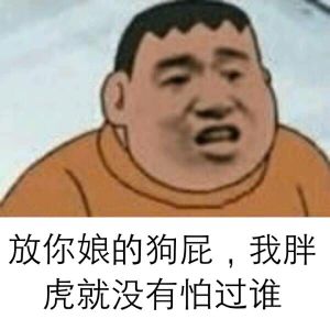 胖虎系列第二弹