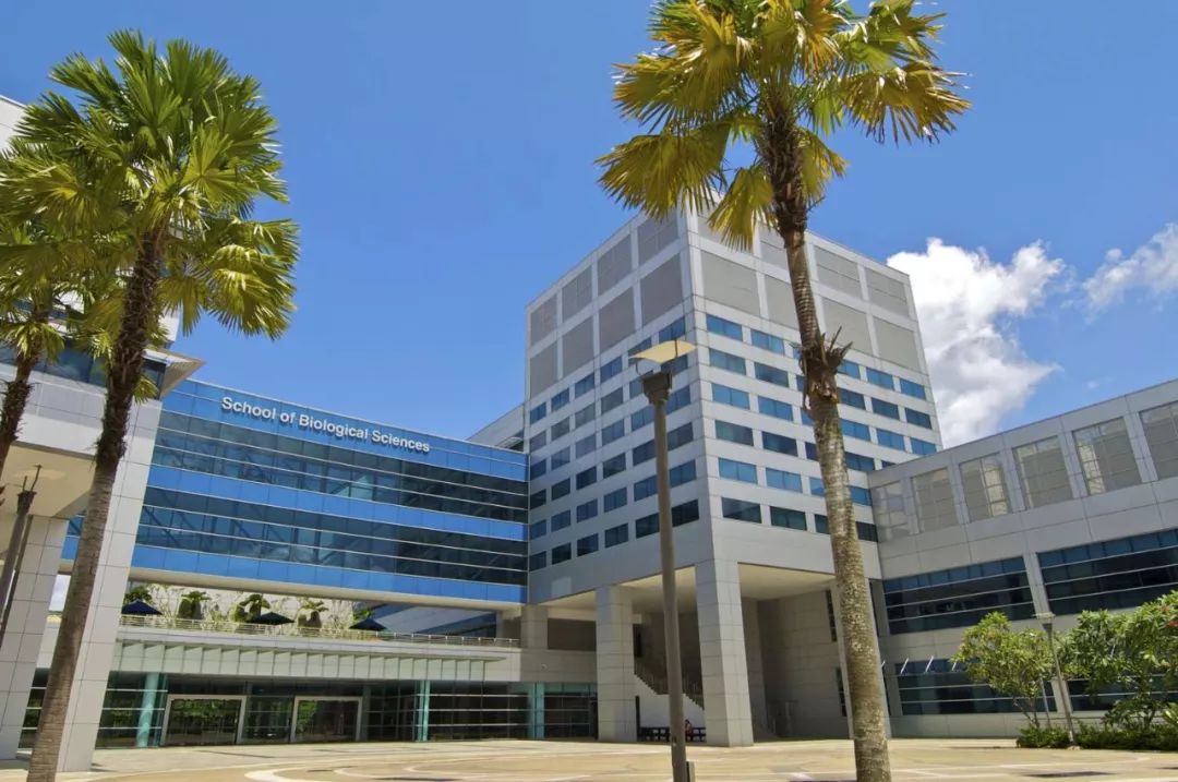 留学新加坡干货，南洋理工大学全介绍