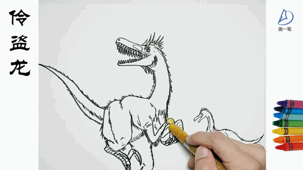 蜡笔画:画画识恐龙,伶盗龙