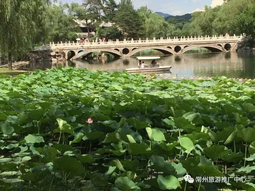 世界杯为什么说天台满了(世界杯爆冷门，天台上占满了人...何以解忧？唯有出游~)