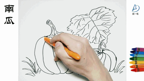 蜡笔画：画画识蔬菜，两个南瓜