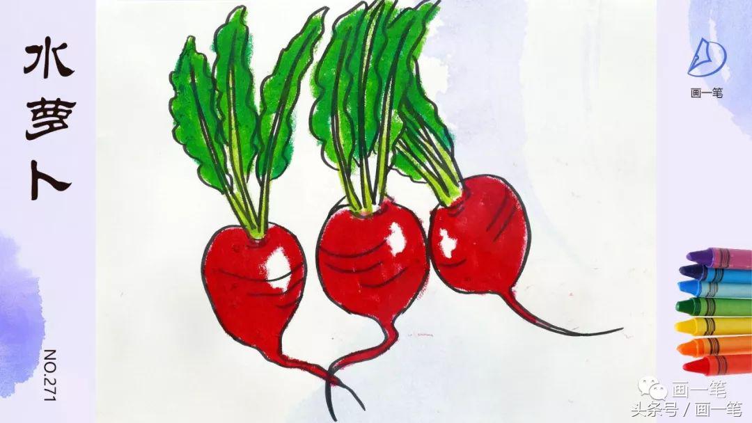 蜡笔画：画画识蔬菜，两个南瓜