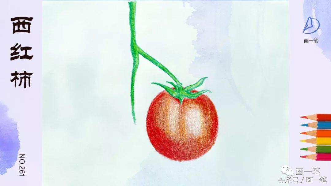 蜡笔画：画画识蔬菜，两个南瓜