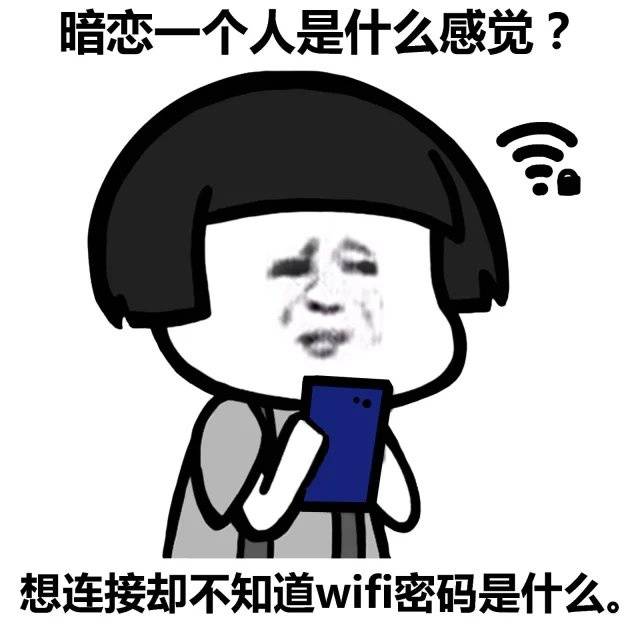 爱情能用WIFI来表达的话