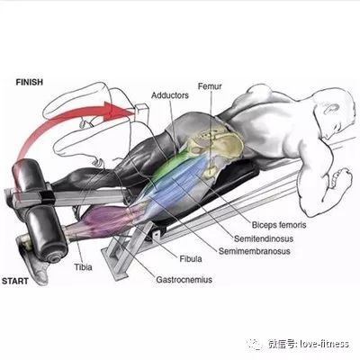 健身不練腿早晚要後悔！分享9個實用腿部訓練動作給你