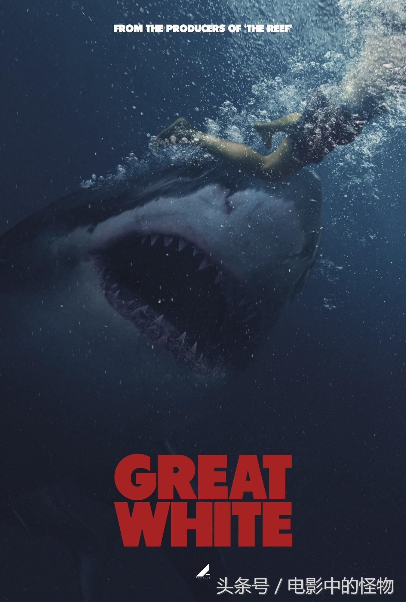 除了《巨齿鲨》，接下来我们还能看到哪些鲨鱼电影？