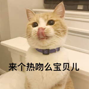 超级无敌萌猫