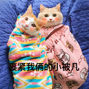 超级无敌萌猫