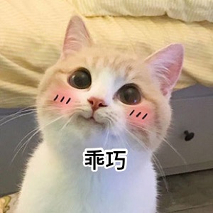 超级无敌萌猫