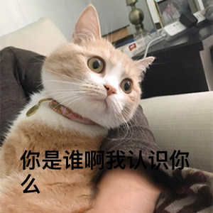 超级无敌萌猫