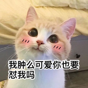 超级无敌萌猫