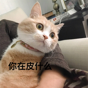 超级无敌萌猫