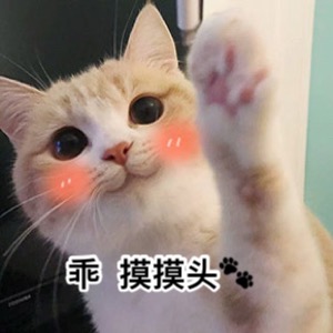 超级无敌萌猫