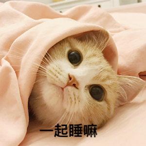 超级无敌萌猫